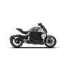 Zard Uitlaatsysteem RVS | Zilver | Ducati 1260 Diavel X