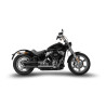 Zard Uitlaten RVS | Zwart | Harley Davidson Dyna Street Bob & Softail Low Rider & Softail Standard
