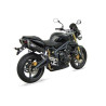 Zard Uitlaat Hoog Penta | Carbon | Triumph Street Triple 675