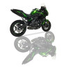 IXIL Uitlaatsysteem Super Xtrem SX1 | Zilver | Kawasaki ER-6