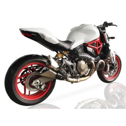 IXIL Uitlaat Double Slashed Cone Xtrem X55SP | Zilver | Ducati 821 Monster
