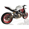 IXIL Uitlaat Double Slashed Cone Xtrem X55SP | Zilver | Ducati 821 Monster