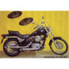 Marving Uitlaten Legend | Chroom | Kawasaki VN800
