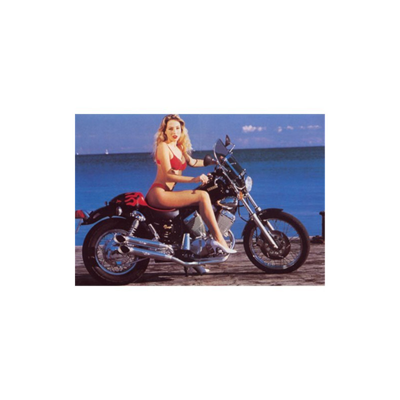 Marving Uitlaatsysteem Legend | Chroom | Yamaha XV535 Virago