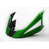 Bodystyle Belly Pan | Groen | Kawasaki Z1000