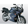 Bodystyle Zijpanelen Onderzijde | Ongespoten | Yamaha FZ6 Fazer