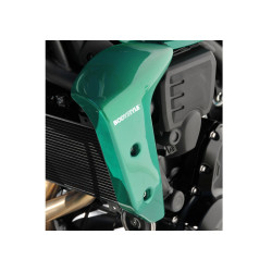 Bodystyle Radiator Zij Cover | Groen | Kawasaki Z650RS