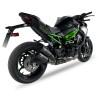 IXRace Uitlaten DCX Series | Carbon | Kawasaki Z900/A2