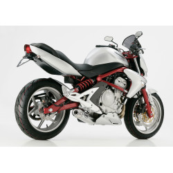 Hurric Uitlaat Rac1 | Glans zilver | Kawasaki ER-6f/ER-6n & Versys 650