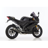 Hurric UItlaatsysteem Supersport | Carbon | Yamaha MT125 & YZF R125