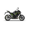 Zard Uitlaat Titanium | Zilver | Kawasaki Z900